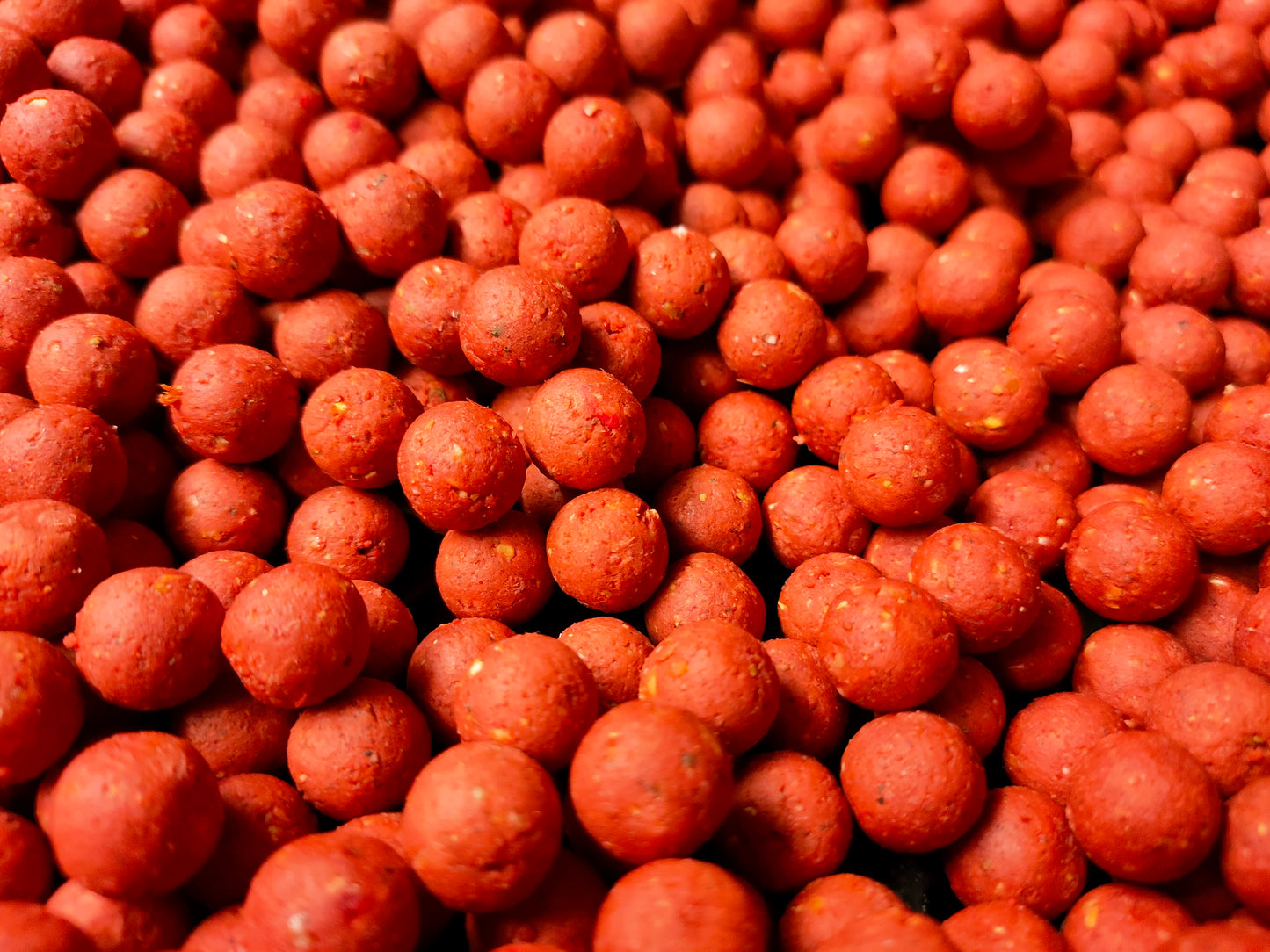 SS Red