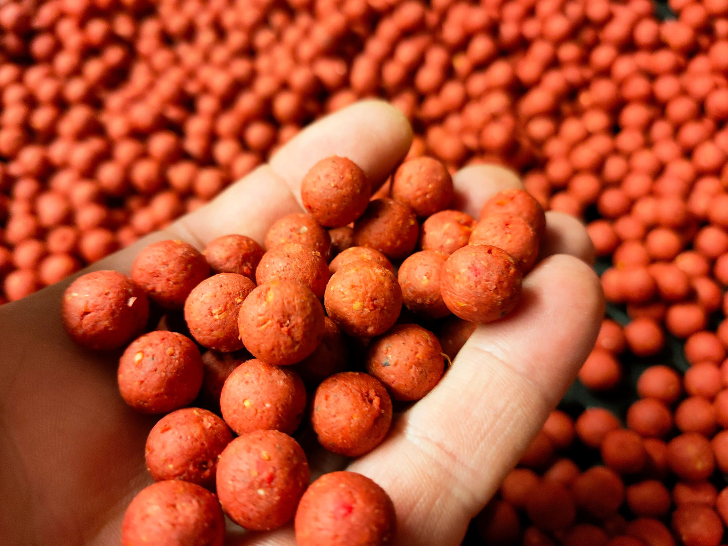 Bulk Deal 50 Kg